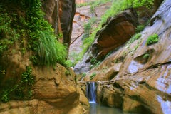 Zion Orderville Canyon Royalty Free Stock Images Zion Orderville Canyon Royalty Free Stock Images