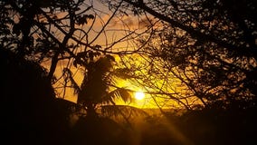 Zmierzch po środku lasu fotografia stock Zmierzch po środku lasu fotografia stock