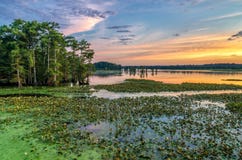 Zmierzch, Reelfoot jezioro, Tennessee obraz royalty free Zmierzch, Reelfoot jezioro, Tennessee obraz royalty free