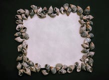 Zmroku kwadratowy flatlay z biel kopii przestrzenią seashell zdjęcia royalty free Zmroku kwadratowy flatlay z biel kopii przestrzenią seashell zdjęcia royalty free
