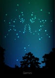Zodiac Διδυμων οι αστερισμοί υπογράφουν με τη δασική σκιαγραφία τοπίων στον όμορφο έναστρο ουρανό με το γαλαξία και το διάστημα π Στοκ Εικόνες Zodiac Διδυμων οι αστερισμοί υπογράφουν με τη δασική σκιαγραφία τοπίων στον όμορφο έναστρο ουρανό με το γαλαξία και το διάστημα π Στοκ Εικόνες