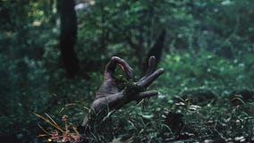 A zombie hand crawls out of the ground. shows ok sign stock photography A zombie hand crawls out of the ground. shows ok sign stock photography