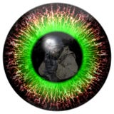 Zombie eyes with the reflection headed soldier. Eyes killer. Deadly eye contact. stock illustration Zombie eyes with the reflection headed soldier. Eyes killer. Deadly eye contact. stock illustration