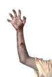 Zombie hand isolated over white background royalty free stock photos Zombie hand isolated over white background royalty free stock photos