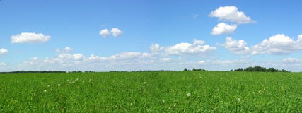 Zone d'été Zone d'été