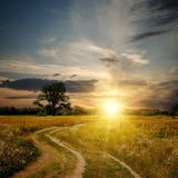 Zone et chemin de terre au coucher du soleil Images stock Zone et chemin de terre au coucher du soleil Images stock
