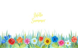 Zonnebloemen, blubells, lelies, rozen en andere die bloemen op witte achtergrond worden geïsoleerd royalty-vrije illustratie Zonnebloemen, blubells, lelies, rozen en andere die bloemen op witte achtergrond worden geïsoleerd royalty-vrije illustratie