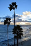 Zonsondergang bij Heisler-Park in Laguna Beach, Californië royalty-vrije stock foto Zonsondergang bij Heisler-Park in Laguna Beach, Californië royalty-vrije stock foto