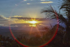 Zonsondergang met palmbladen en een rode lensgloed die wordt ontworpen royalty-vrije stock foto Zonsondergang met palmbladen en een rode lensgloed die wordt ontworpen royalty-vrije stock foto