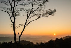 Zonsopgang en eenzame boom Royalty-vrije Stock Afbeelding