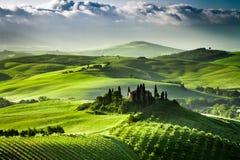 Zonsopgang over landbouwbedrijf van olijfgaarden en wijngaarden in Toscanië stock foto's Zonsopgang over landbouwbedrijf van olijfgaarden en wijngaarden in Toscanië stock foto's