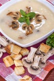 Zuppa di fungo immagini stock libere da diritti Zuppa di fungo immagini stock libere da diritti