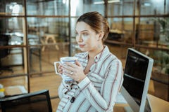 Zwangere aantrekkelijke vrouw die smakelijke warme thee in bureau drinken stock afbeelding Zwangere aantrekkelijke vrouw die smakelijke warme thee in bureau drinken stock afbeelding