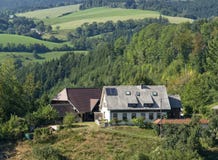Zwart Boslandschap in de zomertijd stock foto's Zwart Boslandschap in de zomertijd stock foto's