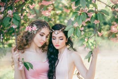 Zwei erstaunliche Elfen mit einer leichten Frühlingsmake-upnahaufnahme Blond und Brunette mit lang, gesundes, gewelltes Haar hand stockbild Zwei erstaunliche Elfen mit einer leichten Frühlingsmake-upnahaufnahme Blond und Brunette mit lang, gesundes, gewelltes Haar hand stockbild