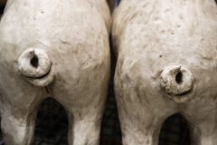 Zwei weiße Schweinendstücke - Ansicht von zwei Schweinstatuenhinteren enden mit wiggly Endstücken - selektiver Fokus stockbilder Zwei weiße Schweinendstücke - Ansicht von zwei Schweinstatuenhinteren enden mit wiggly Endstücken - selektiver Fokus stockbilder