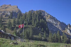 Zwitserse Vlag die in de wind golft stock afbeelding Zwitserse Vlag die in de wind golft stock afbeelding