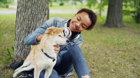 Zwolnione tempo szczęśliwego psiego właściciela atrakcyjna młoda kobieta pieści ślicznego shiba inu psa awanturuje swój futerko i zbiory Zwolnione tempo szczęśliwego psiego właściciela atrakcyjna młoda kobieta pieści ślicznego shiba inu psa awanturuje swój futerko i zbiory