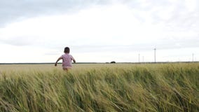 Zwolnione Tempo Szczęśliwy Little Boy Biega Daleko od Przez Pszenicznego pole zbiory wideo Zwolnione Tempo Szczęśliwy Little Boy Biega Daleko od Przez Pszenicznego pole zbiory wideo