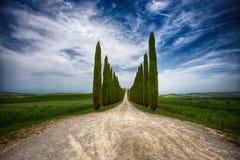 Zypresse-Baumreihen und eine weiße Straße, ländliche Landschaft in val Land d Orcia nahe Siena, Toskana, Italien stockfotografie Zypresse-Baumreihen und eine weiße Straße, ländliche Landschaft in val Land d Orcia nahe Siena, Toskana, Italien stockfotografie