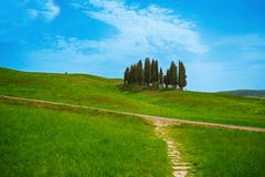 Zypressenbäume auf Toskana-Hügeln, Siena-Provinz, Italien lizenzfreies stockbild Zypressenbäume auf Toskana-Hügeln, Siena-Provinz, Italien lizenzfreies stockbild