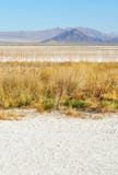 Zzyzx, Sodowany jezioro, Mojave pustynia Obrazy Royalty Free Zzyzx, Sodowany jezioro, Mojave pustynia Obrazy Royalty Free