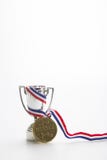 Złotego medalu zwycięzca z trofeum fotografia stock Złotego medalu zwycięzca z trofeum fotografia stock