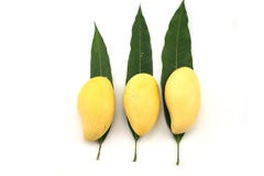 Złoty mango na Mangowych liściach na białym tle Zdjęcie Stock Złoty mango na Mangowych liściach na białym tle Zdjęcie Stock