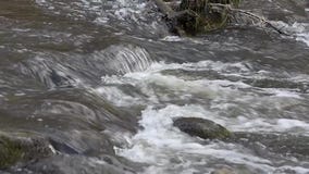¡TA del kÅ del río DÅ el “fluye en Neris Regional Park en Lituania ¡TA del kÅ del río DÅ el “fluye en Neris Regional Park en Lituania