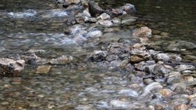 Água do córrego Água do córrego