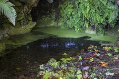 Água que cai na caverna foto de stock Água que cai na caverna foto de stock