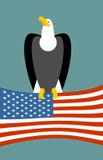 Águila calva en fondo del indicador americano Símbolo nacional de los E.E.U.U. del pájaro Pájaros grandes de la presa y del país Imagen de archivo Águila calva en fondo del indicador americano Símbolo nacional de los E.E.U.U. del pájaro Pájaros grandes de la presa y del país Imagen de archivo