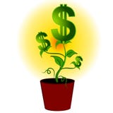 Árbol de la planta de dinero de las muestras de dólar ilustración del vector Árbol de la planta de dinero de las muestras de dólar ilustración del vector