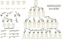 Árbol de la vida - genealogía stock de ilustración Árbol de la vida - genealogía stock de ilustración