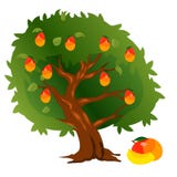 Árbol de mango con las frutas y las hojas del verde stock de ilustración Árbol de mango con las frutas y las hojas del verde stock de ilustración