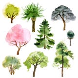 Árboles de la acuarela fijados stock de ilustración Árboles de la acuarela fijados stock de ilustración