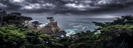 A árvore de Cypress solitária ao longo da costa de Califórnia imagem de stock A árvore de Cypress solitária ao longo da costa de Califórnia imagem de stock
