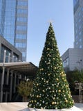 Árvore de Natal contra a competição dos arranha-céus Fotografia de Stock Árvore de Natal contra a competição dos arranha-céus Fotografia de Stock