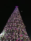 A árvore de Natal é decorada belamente na noite fotos de stock A árvore de Natal é decorada belamente na noite fotos de stock