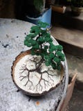 Árvore feito a mão com um escudo do coco fotos de stock Árvore feito a mão com um escudo do coco fotos de stock