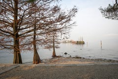 Árvores particulares no lago no outono imagem de stock Árvores particulares no lago no outono imagem de stock