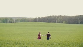 Älska folk rym händer och kyssen, som de går i ett havrefält lycklig förälskelse för par Skog på bakgrunden Långsam mo Älska folk rym händer och kyssen, som de går i ett havrefält lycklig förälskelse för par Skog på bakgrunden Långsam mo