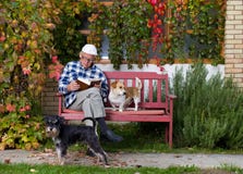 Älterer Mann mit Buch und Hunden stockfotografie Älterer Mann mit Buch und Hunden stockfotografie