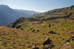 Ängar i den Colca kanjonen, Peru fotografering för bildbyråer Ängar i den Colca kanjonen, Peru fotografering för bildbyråer