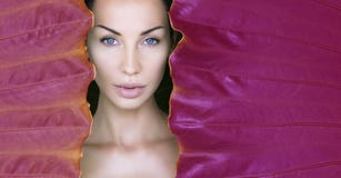 紫外五颜六色的框架围拢的妇女的面孔 与自然构成的美女面孔在一片热带霓虹叶子 库存图片 紫外五颜六色的框架围拢的妇女的面孔 与自然构成的美女面孔在一片热带霓虹叶子 库存图片