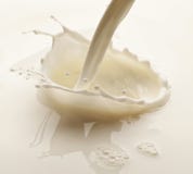 Éclaboussure de lait photos stock Éclaboussure de lait photos stock
