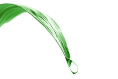 Égoutture de l'eau Égoutture de l'eau