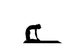 Élaboration de jeune homme de silhouette, yoga, pilates ou formation sportifs de forme physique, se tenant dans l'ushtrasana d'as image libre de droits Élaboration de jeune homme de silhouette, yoga, pilates ou formation sportifs de forme physique, se tenant dans l'ushtrasana d'as image libre de droits