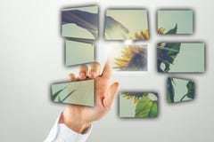 Équipez faire une présentation avec une image de tournesol image stock Équipez faire une présentation avec une image de tournesol image stock