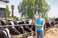 Équipez l'agriculteur travaillant à la ferme avec des vaches laitières Photos stock Équipez l'agriculteur travaillant à la ferme avec des vaches laitières Photos stock